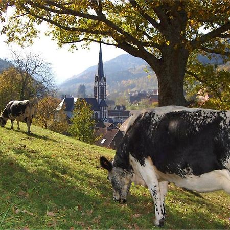 Petit Week End Dans La Vallee Apartment Breitenbach-Haut-Rhin Exterior photo