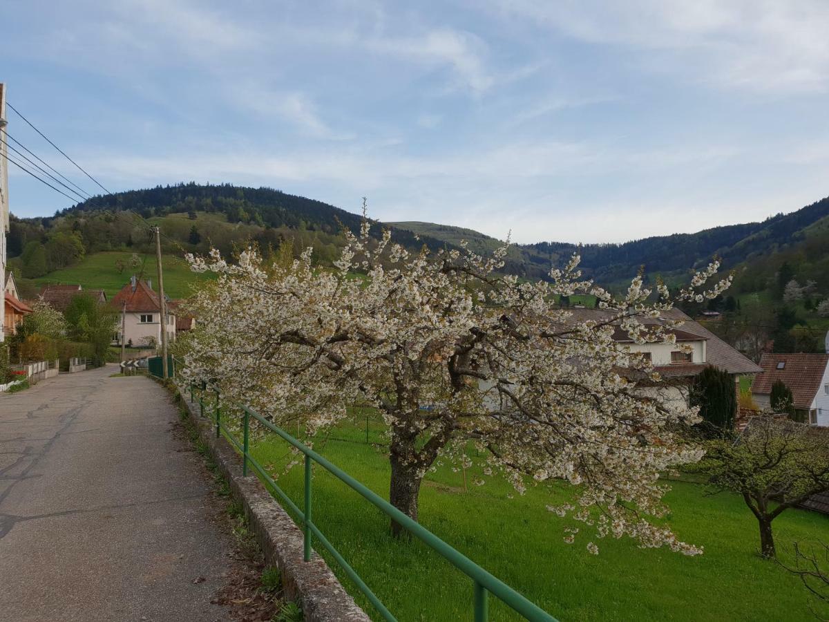 Petit Week End Dans La Vallee Apartment Breitenbach-Haut-Rhin Exterior photo