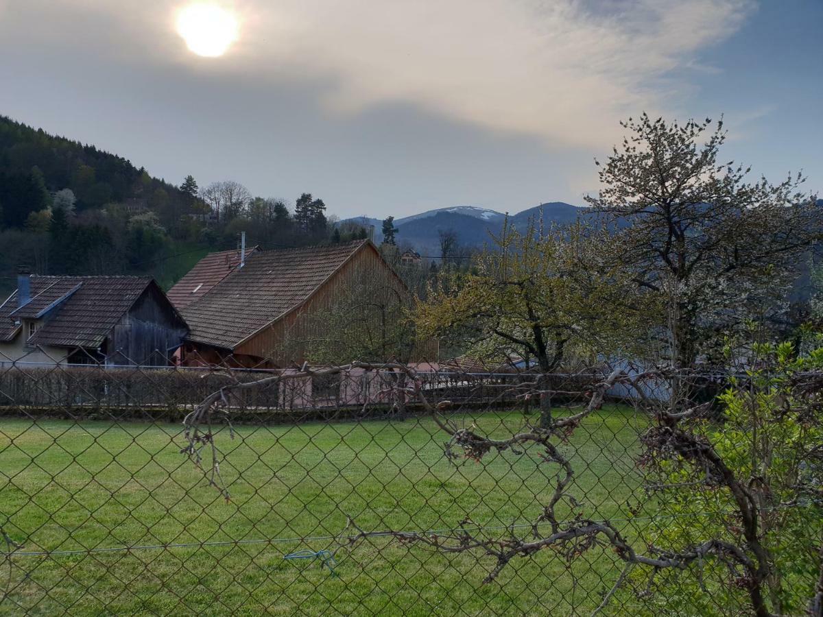 Petit Week End Dans La Vallee Apartment Breitenbach-Haut-Rhin Exterior photo