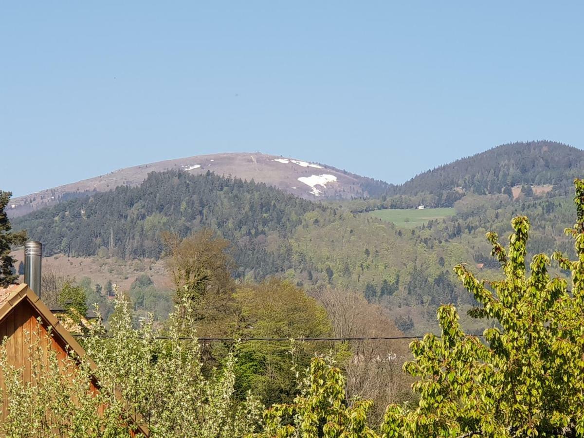 Petit Week End Dans La Vallee Apartment Breitenbach-Haut-Rhin Exterior photo