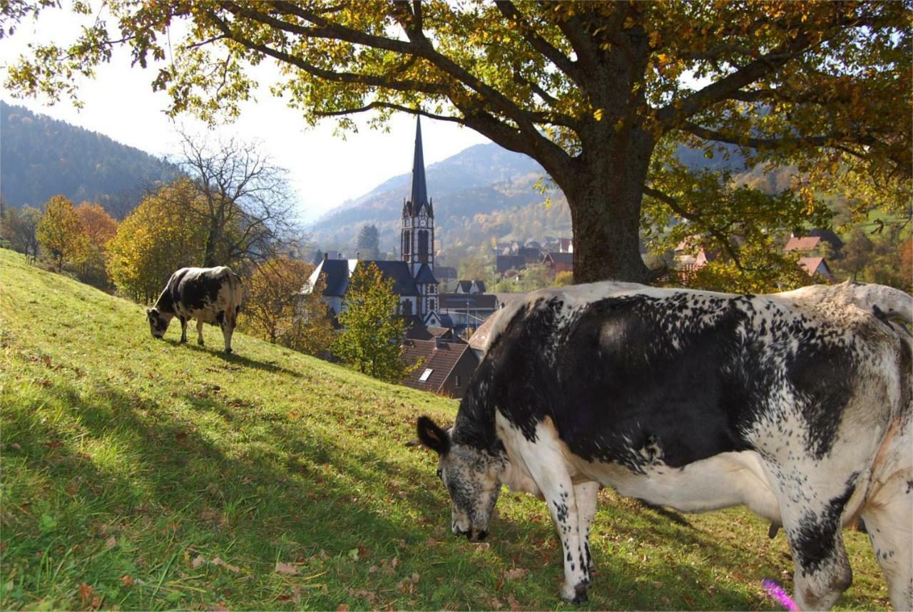 Petit Week End Dans La Vallee Apartment Breitenbach-Haut-Rhin Exterior photo