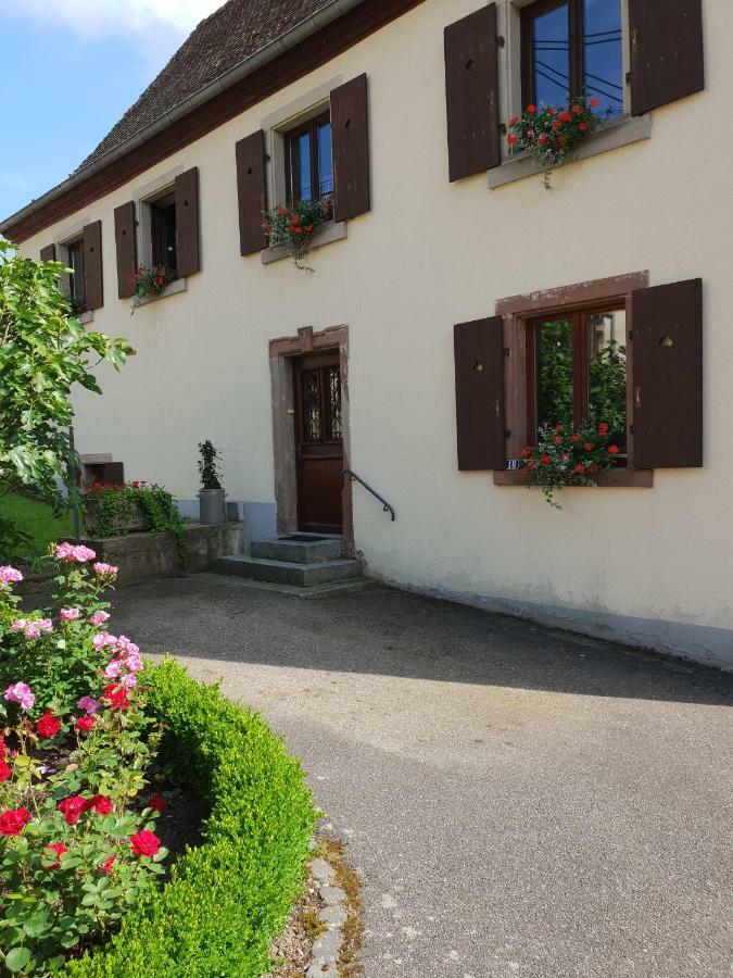 Petit Week End Dans La Vallee Apartment Breitenbach-Haut-Rhin Exterior photo