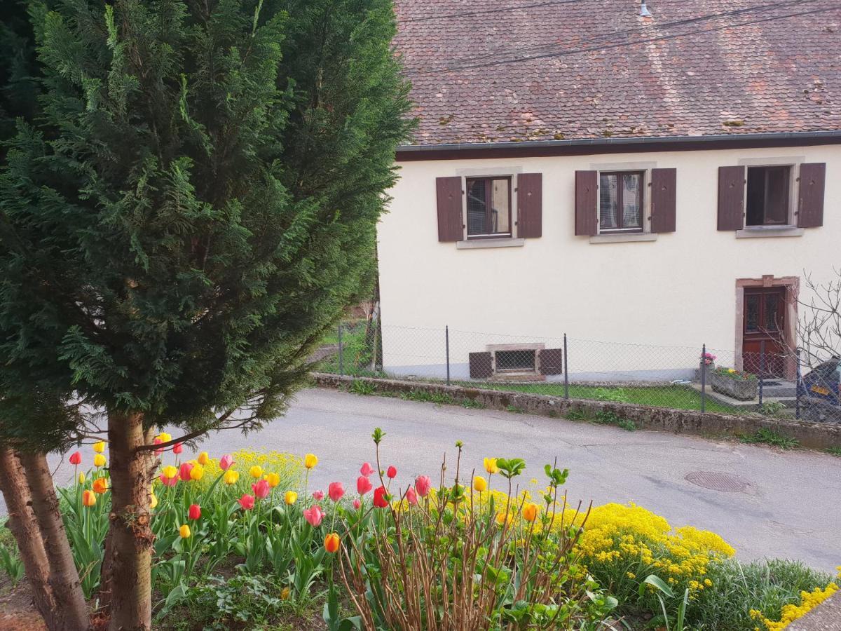 Petit Week End Dans La Vallee Apartment Breitenbach-Haut-Rhin Exterior photo